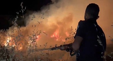 Buğday tarlasında korkutan yangın
