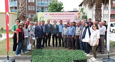 Buharkent'te 38 bin domates fidesi dağıtıldı