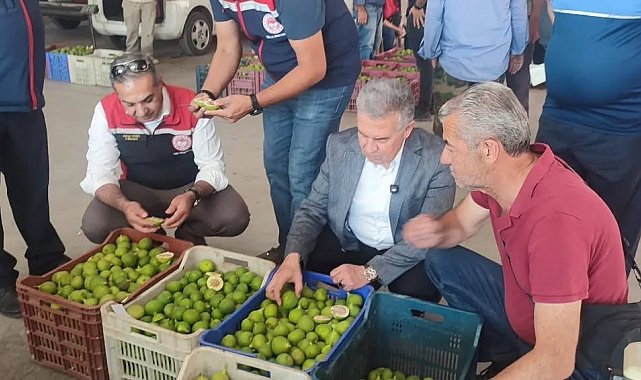 Buharkent'te ilekler, tezgahta incelendi