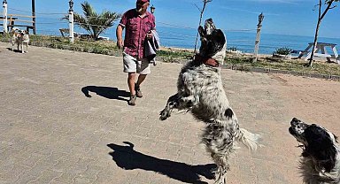Bunlar da dronsavar köpekler