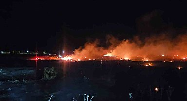 Burhaniye'de korkutan örtü yangını