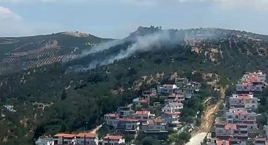 Burhaniye'deki zeytinlik yangını kontrol altına alındı