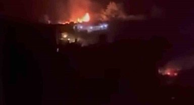 Bursa'da bağ evi alevlere teslim oldu