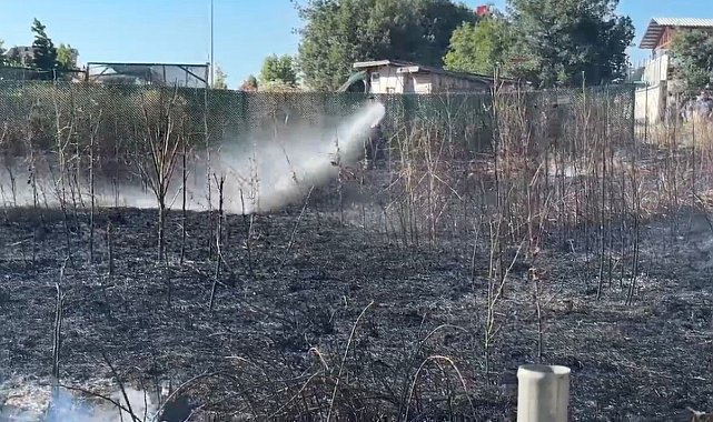 Bursa'da otluk alanda çıkan yangın korkuttu