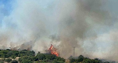Çanakkale'de bozuk orman sahasında yangın