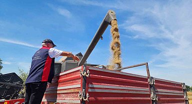 Çanakkale'de meralar güçleniyor