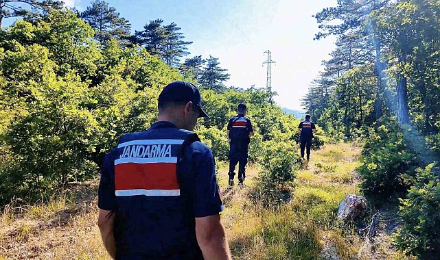 Çanakkale'de orman yangınlarına karşı jandarma ekipleri sahada
