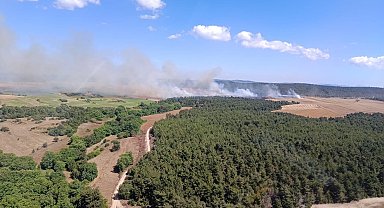 Çanakkale'de tarım arazisinde başlayan yangın ormana sıçradı