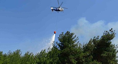 Çanakkale'de tarım arazisinde çıkan yangın kontrol altına alındı