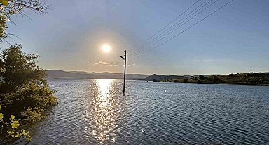 Çekerek Süreyya Bey Barajı'nda dolluk oranı yüzde 100'ün üzerine çıktığı için köyü yılanlar bastı