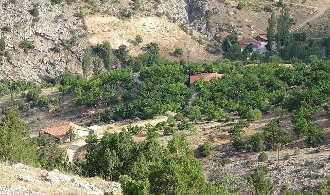 Cinayete kurban giden Aysel Yıldırım için 1600 rakımlı dağlık alanda arama