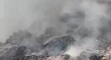 Çöp döküm alanındaki yangın ormana sıçradı