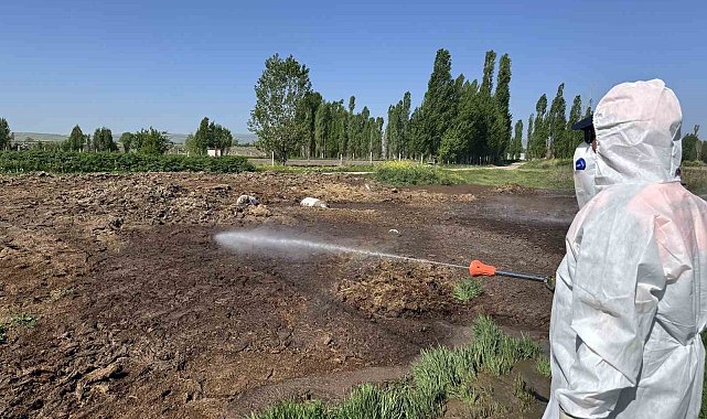 Çorum Belediyesi vektörel mücadeleyi aralıksız sürdürüyor