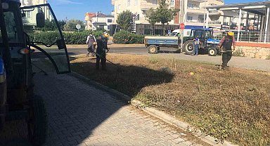 Didim Belediyesi yeşil alanlarda bakım çalışmalarını sürdürüyor