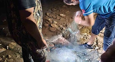 Didim'de sahipsiz balık ağlarına el konuldu
