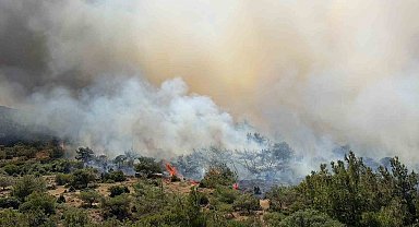 Dikili'deki yangına havadan 7 uçakla müdahale