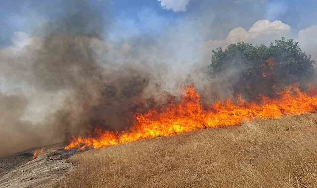 Diyarbakır'ın beş ilçesinde yangın