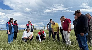 Dolu vurdu, ekipler sahaya indi: Kars'ta hasar tespit çalışmaları sürüyor