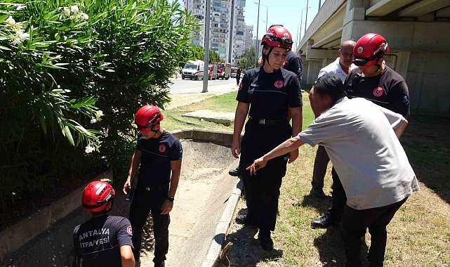 Düştü diye ihbar ettiği babası bile düşmediğine ikna edemedi