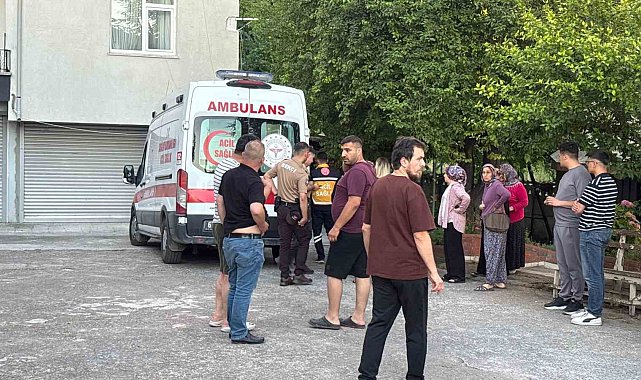 Dut toplarken ağaçtan düşüp yaralandı