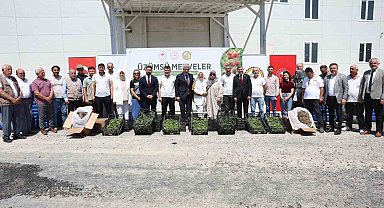 Düzce çiftçisine fide ve damla sulama sistemi desteği