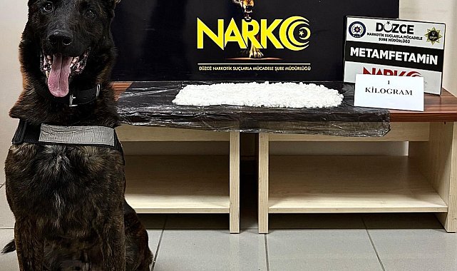 Düzce'de 1 kilogram metamfetamin ele geçirildi, 1 kişi tutuklandı