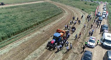 Edirne'de meralarda yeni model: Üretimden elde edilen gelir yine meraya yatırılacak