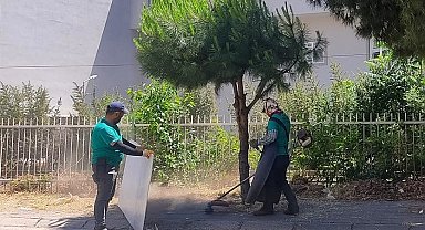 Efeler'in park ve yeşil alanlarında düzenleme çalışmaları sürüyor