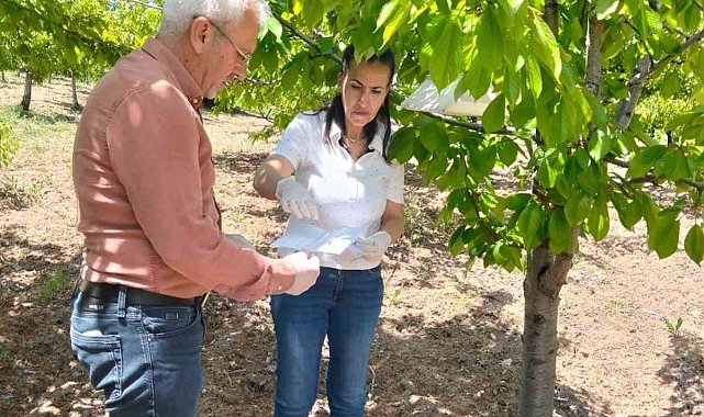 Elazığ'da meyve bahçelerinde takip çalışması