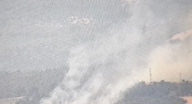 Elektrik tellerine çarpan karga yangına sebep oldu