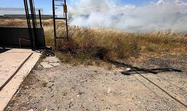 Elektrik tellerine çarpan kuş yangın çıkardı