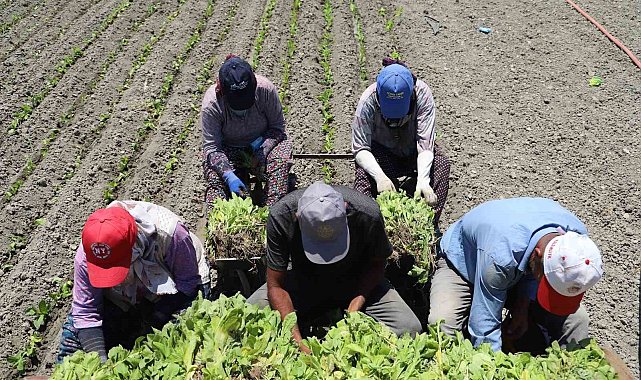 Emsal karar; artık onlar da ihbar tazminatı alacak