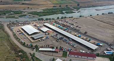Erbaa'da koyun çiçek hastalığı nedeniyle hayvan pazarı kapatıldı