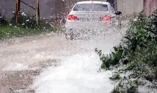Erciş'te ot yangınları