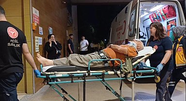 Erik toplamak için çıktığı ağaçtan düşerek yaralandı