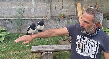 Erzincan'da ağaçtan düşen yavru kuşları sahiplenerek doğaya kazandırıyor