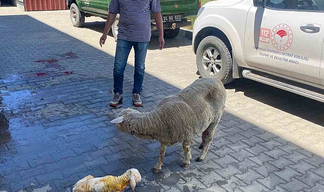 Erzincan'da zamanla yarış mutlu sonla bitti