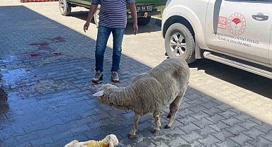 Erzincan'da zamanla yarış mutlu sonla bitti