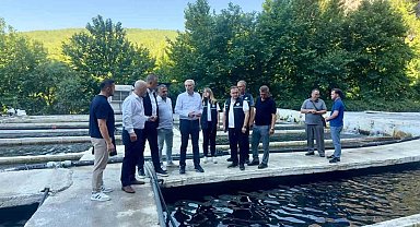 Eşen Havzası'ndaki Alabalık tesislerinde sektör değerlendirmesi
