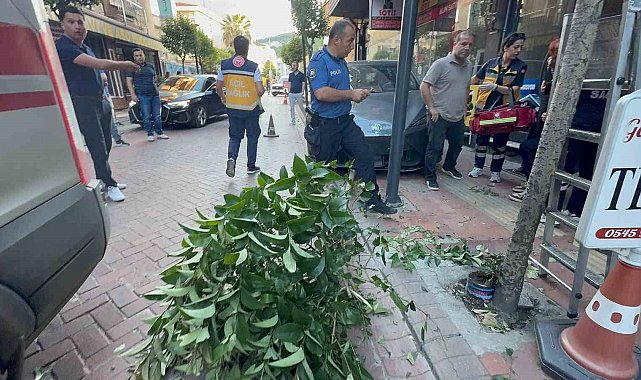 Fren yerine gaza bastı: İki ağacı devirip, duvara çarptıktan sonra durabildi