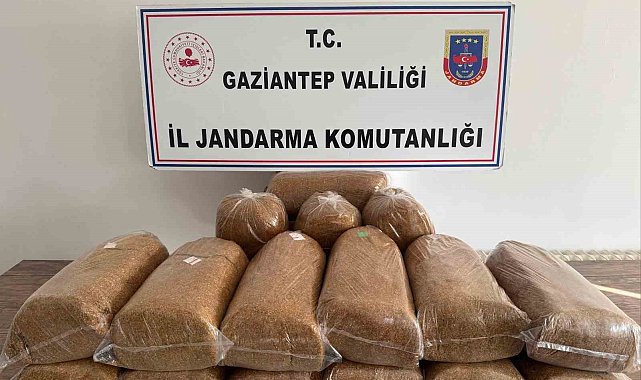 Gaziantep'te 353 aranan şahıs yakalandı