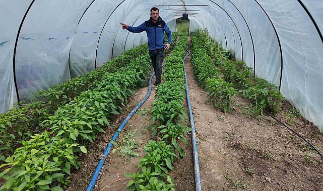 Gediz Ilıca Termal Tatil Köyünde hem sağlık hem de doğal lezzetler bir arada