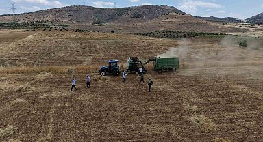 Gercüş'te kavurucu sıcakta 'oyun havalı' hasat