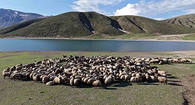 Göçerler 5 aylık yayla sezonunu Bitlis'te açtı