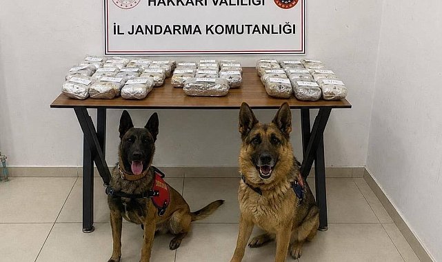 Hakkari'de 21 kilo 650 gram toz esrar ele geçirildi