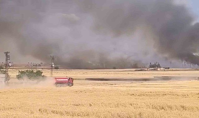 Harran'da yüzlerce dönümlük ekili arazi yandı