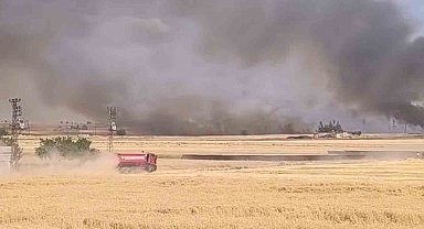 Harran'da yüzlerce dönümlük ekili arazi yandı