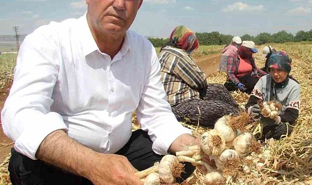 Hasan Altun'dan 'Toprak Bayramı Haftası' kutlama mesajı