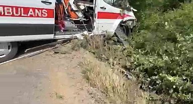 Hasta taşıyan ambulans yoldan çıkarak yeşillik alana savruldu