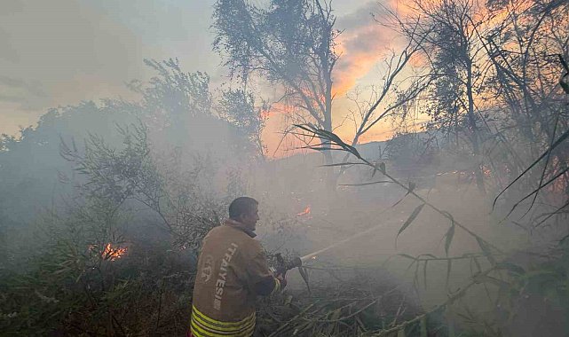Hatay'da anız yangını büyümeden söndürüldü
